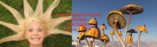 mix Богданович