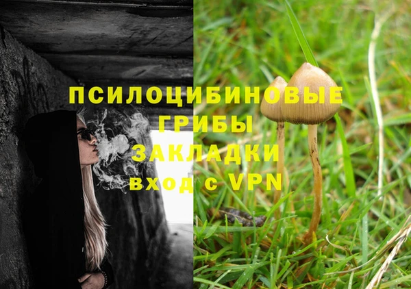 ПСИЛОЦИБИНОВЫЕ ГРИБЫ Богородицк